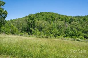 99999 Merrills Cove Rd, Asheville, NC 28803 - Photo 5