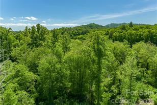 99999 Merrills Cove Rd, Asheville, NC 28803 - Photo 33