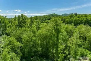 99999 Merrills Cove Rd, Asheville, NC 28803 - Photo 41