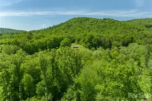 99999 Merrills Cove Rd, Asheville, NC 28803 - Photo 43