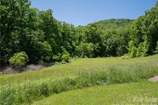 99999 Merrills Cove Rd, Asheville, NC 28803 - Photo 29