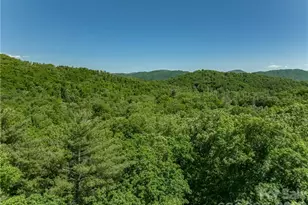 99999 Merrills Cove Rd, Asheville, NC 28803 - Photo 39