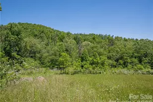 99999 Merrills Cove Rd, Asheville, NC 28803 - Photo 25