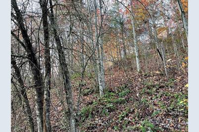 Lot 43 Kimiko Lane, Balsam Grove, NC 28708 - Photo 5