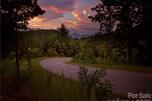 187 Starling Pass None, Asheville, NC 28804 - Photo 1