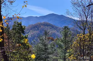 0 Alpine Ridge, Canton, NC 28716 - Photo 1