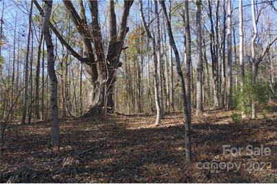 10.64 Ac Burree Road, Clover, SC 29710 - Photo 9