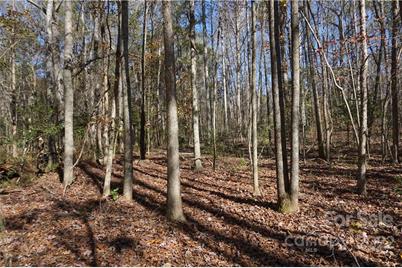 10.64 Ac Burree Road, Clover, SC 29710 - Photo 17