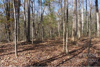 10.64 Ac Burree Road, Clover, SC 29710 - Photo 11