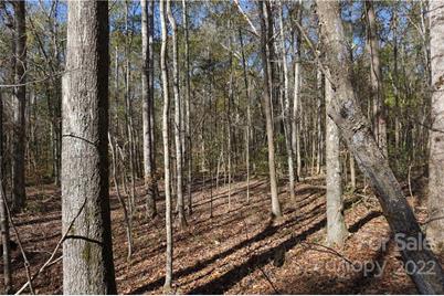10.64 Ac Burree Road, Clover, SC 29710 - Photo 15