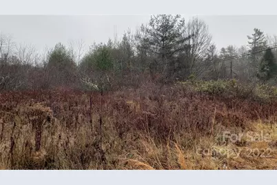 000 Greenville Highway, Brevard, NC 28712 - Photo 5