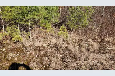 000 Greenville Highway, Brevard, NC 28712 - Photo 15