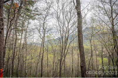 0 Watership Road, Lake Lure, NC 28746 - Photo 1