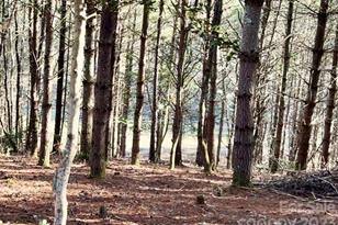 2 29 Acres Lot 94 Crescent Ridge Dr, Lenoir, NC 28645 - Photo 1