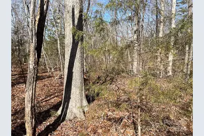 161 Little River Trail, Lancaster, SC 29720 - Photo 13