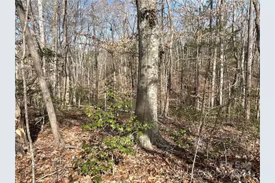 161 Little River Trail, Lancaster, SC 29720 - Photo 11