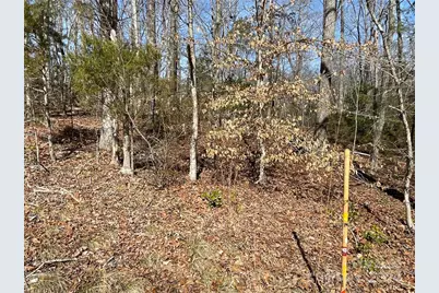 161 Little River Trail, Lancaster, SC 29720 - Photo 17