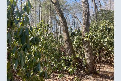 99999 Dogwood Trail, Spruce Pine, NC 28777 - Photo 11