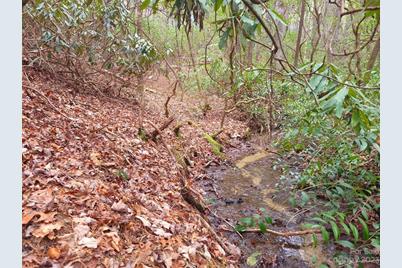 0000 Double Creek Drive #L-14, Brevard, NC 28712 - Photo 1