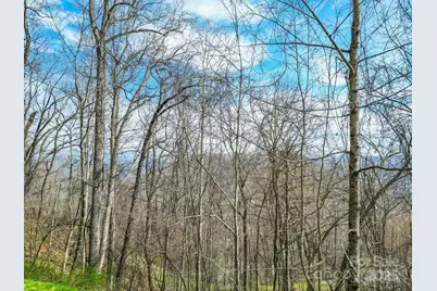 580 Freemont Drive #80, Leicester, NC 28748 - Photo 35