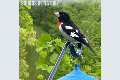 580 Freemont Drive #80, Leicester, NC 28748 - Photo 45