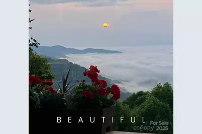 580 Freemont Drive #80, Leicester, NC 28748 - Photo 43