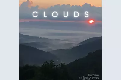 580 Freemont Drive #80, Leicester, NC 28748 - Photo 41