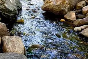 21 Craftsman Overlook Rdg, Arden, NC 28704 - Photo 35