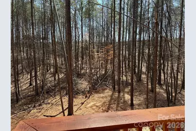 132 Chasewood Drive, Rutherfordton, NC 28139 - Photo 33