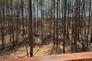 132 Chasewood Dr, Rutherfordton, NC 28139 - Photo 33