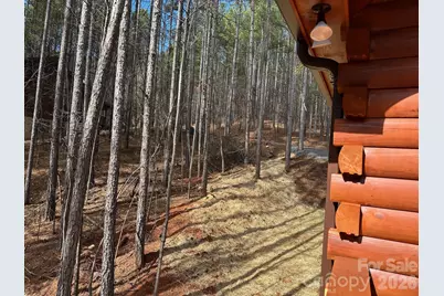 132 Chasewood Drive, Rutherfordton, NC 28139 - Photo 31