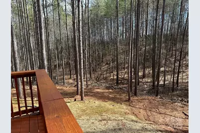 132 Chasewood Drive, Rutherfordton, NC 28139 - Photo 37