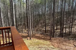 132 Chasewood Dr, Rutherfordton, NC 28139 - Photo 37