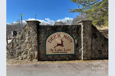 132 Chasewood Drive, Rutherfordton, NC 28139 - Photo 9