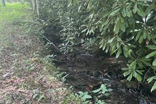 Lot 17/18 Long Creek Ln, Bryson City, NC 28713 - Photo 3