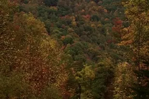 2464 Bridle Ridge Way, Lenoir, NC 28645 - Photo 31