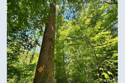 #168 Rolling Road, Lincolnton, NC 28092 - Photo 29