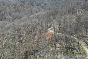 10 Chestnut Village Ln, Mars Hill, NC 28754 - Photo 9