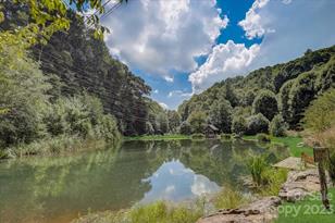 15 Chestnut Village Ln, Mars Hill, NC 28754 - Photo 29