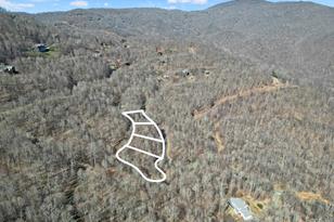 15 Chestnut Village Ln, Mars Hill, NC 28754 - Photo 5