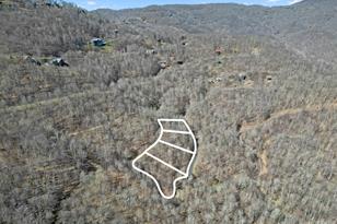 16 Chestnut Village Ln, Mars Hill, NC 28754 - Photo 11