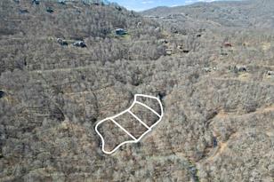 16 Chestnut Village Ln, Mars Hill, NC 28754 - Photo 13