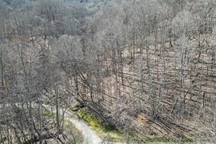 16 Chestnut Village Ln, Mars Hill, NC 28754 - Photo 3