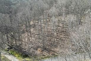 17 Chestnut Village Ln, Mars Hill, NC 28754 - Photo 5