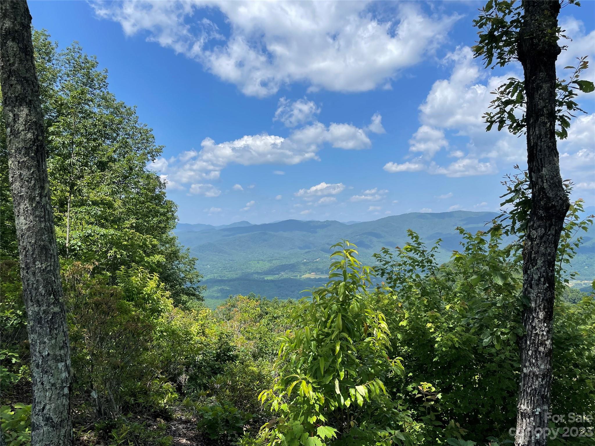 94 Devin Rdg Ln, Union Mills, NC 28167 MLS 4040279 Coldwell Banker