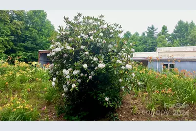 350 Henredon Road, Spruce Pine, NC 28777 - Photo 39