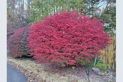 144 Ruffed Grouse Lane, Waynesville, NC 28786 - Photo 39