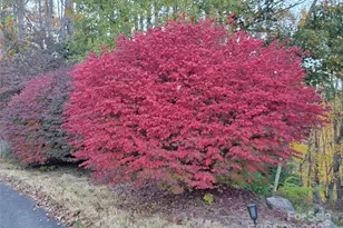 144 Ruffed Grouse Ln, Waynesville, NC 28786 - Photo 39