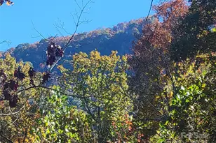 144 Ruffed Grouse Ln, Waynesville, NC 28786 - Photo 43