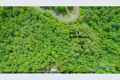 Lot 1 Reynolds Parkway, Ferguson, NC 28624 - Photo 9